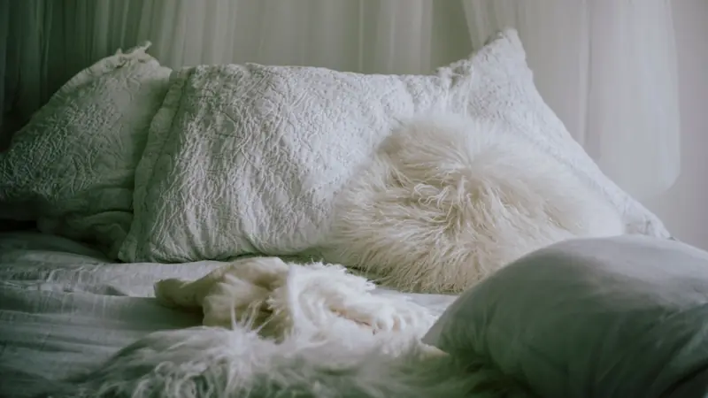 A serene bedroom scene featuring fluffy pillows and a cozy white bed, perfect for relaxation and comfort