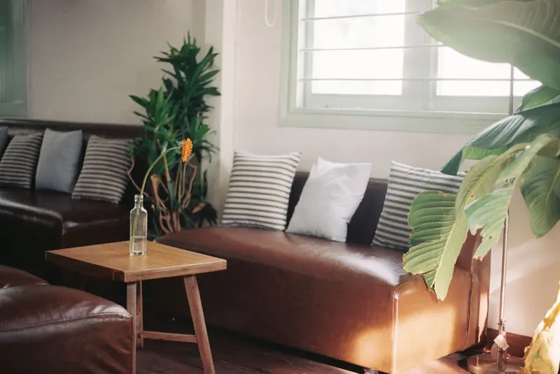 Inviting living room interior featuring leather sofa, plants, and a wooden coffee table with natural lighting